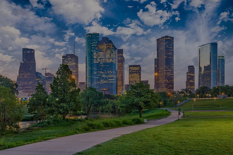 living-in-houston-tx_edited.jpg