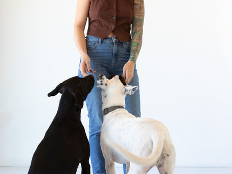 Wiggle Butts, Work & Worship