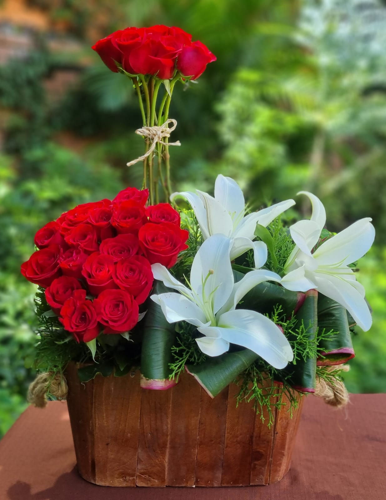 ROSAS-01