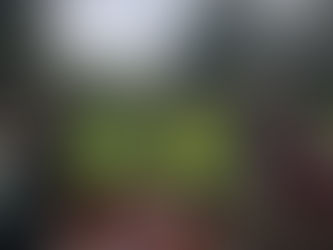 Chainsaw training class