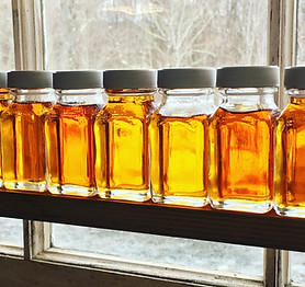Maple syrup sample bottles lit through a window