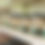 Thumbnail: Organic Vermont Maple Syrup - Plastic Jug