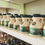 Thumbnail: Organic Vermont Maple Syrup - Plastic Jug
