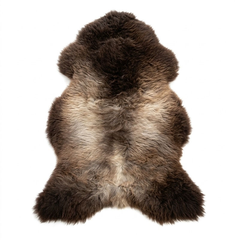Thumbnail: Multi-Tonal: "Brown and cream natural sheepskin rug with dark edges and plush fur on a white background