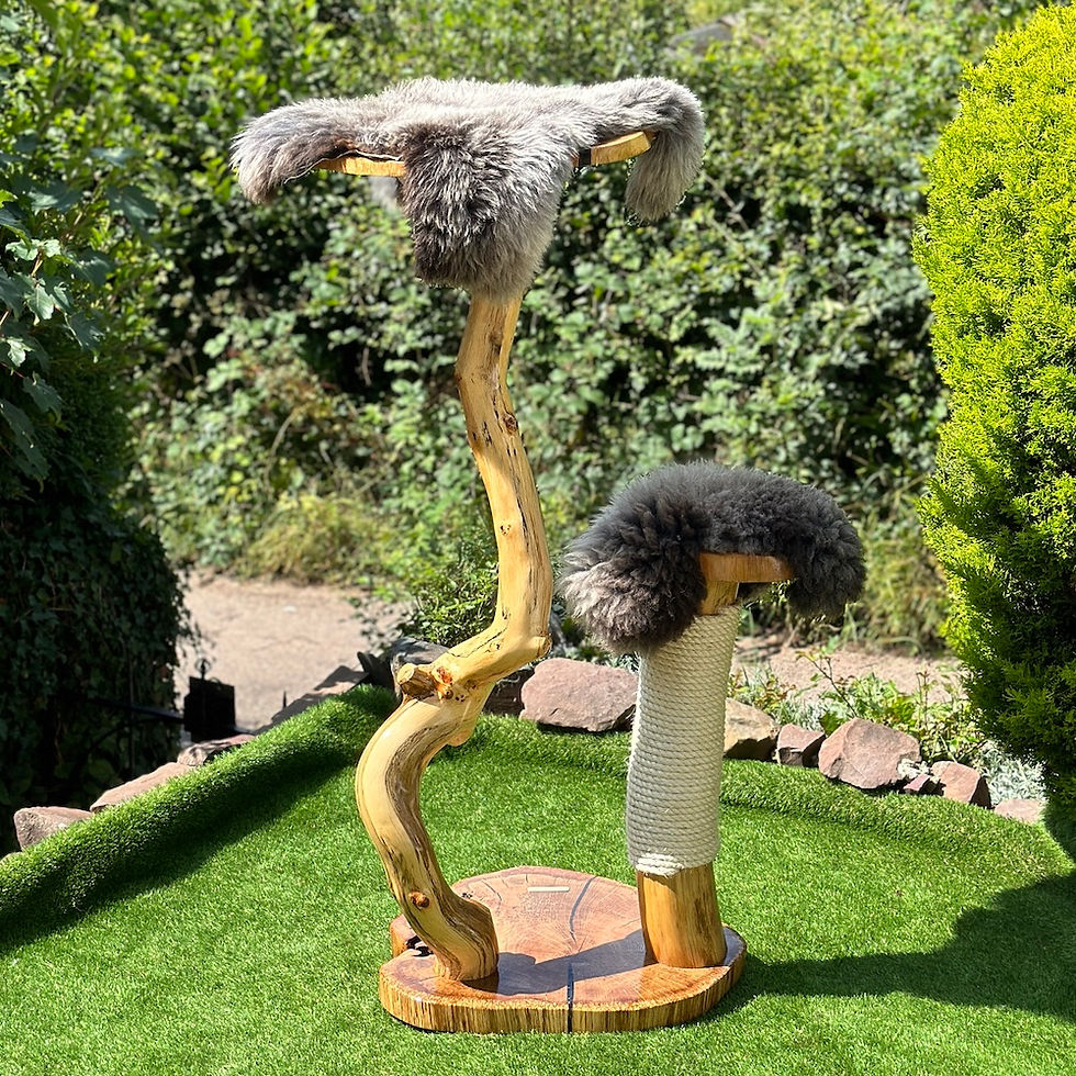 A handcrafted cat tree with two levels, featuring a naturally curved wooden trunk, a rope scratching post, and sheepskin