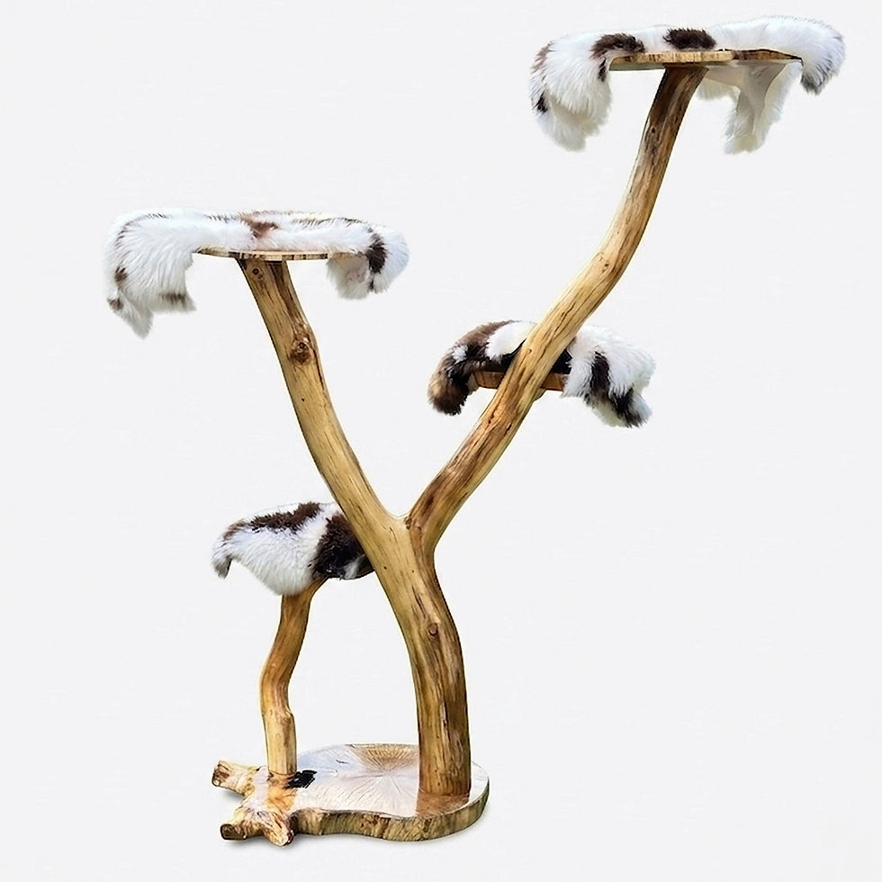 Thumbnail: Five-level natural wood branching cat tree with authentic brown and white sheepskin perches