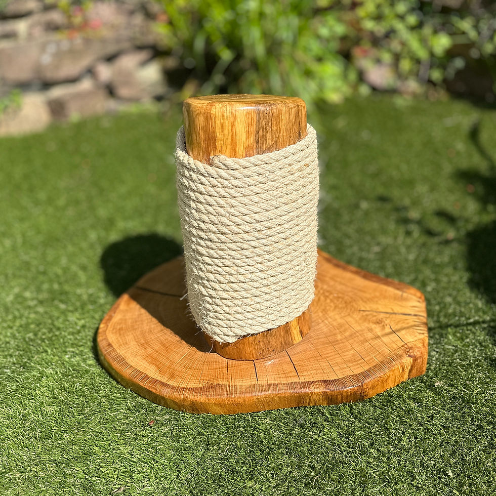 Thumbnail: Pallas natural cat scratcher