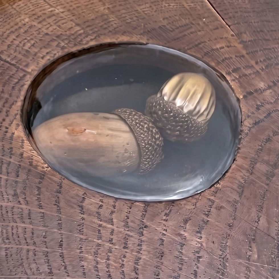 Thumbnail: close up of two acorns embedded in resin on the coffee table surface