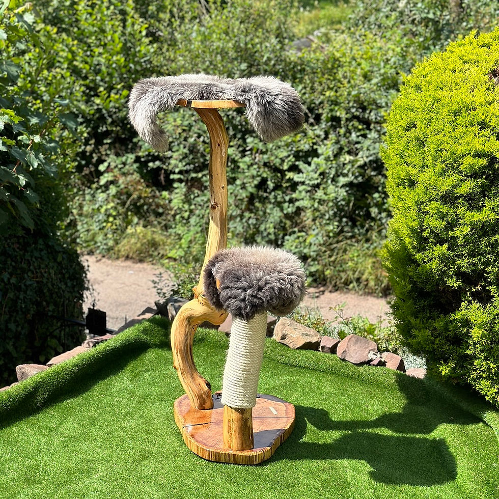 Close-up of a handmade cat tree showing the natural grain and live edge of the wood base, the tightly wrapped sisal rope