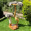 Thumbnail: Natural wood cat tree with multiple levels and a scratching post.