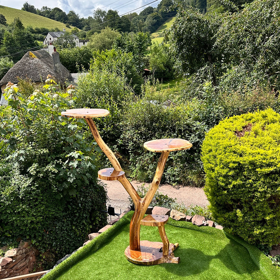 Thumbnail: Large English oak cat tree