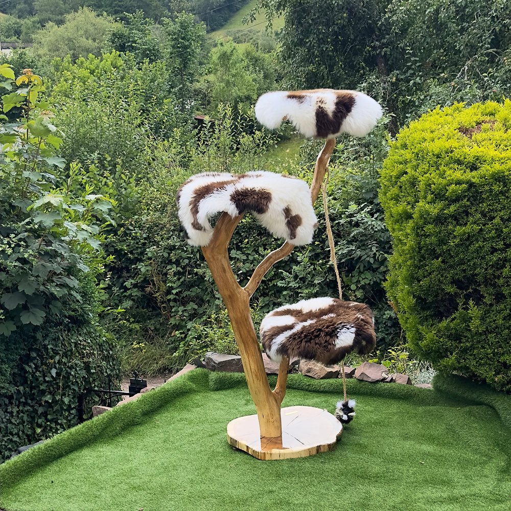 What's New ! Luxury cat trees and best cat Furniture