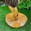 Thumbnail: handmade cat trees