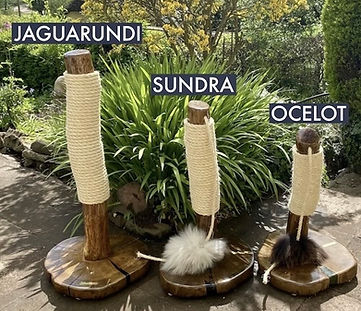 Three handmade wooden cat scratchers wrapped in sisal rope, named Jaguarundi, Sundra, and Ocelot.