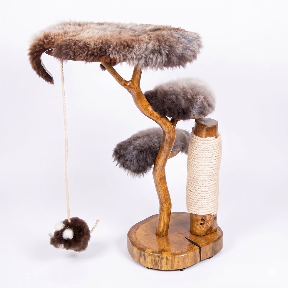 Oak cat tree with sheepskin on a white background.