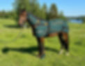 bemer-horseset-vuokraus.jpg
