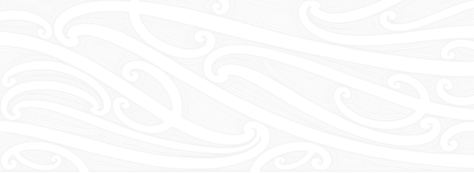 Business Artwork - Half Crop_edited_edited.jpg