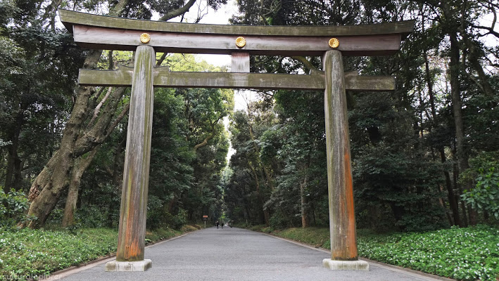 Yoyogi Park (代々木公園)