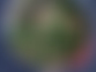 Sautéed Kale with Garlic, Bacon & Beans