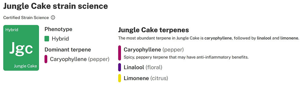 Thumbnail: Jungle Cake
