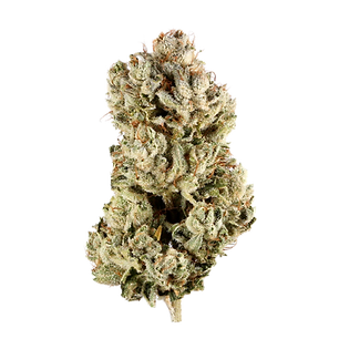 GG4