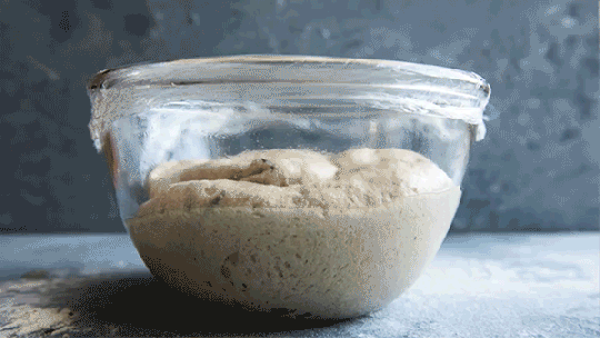 levadura-creciendo.gif