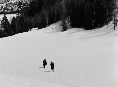 tumblr_10567356a6731af8b773eb26ae07e647_13f3fc54_500.gif