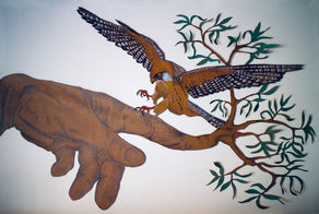faucon falcon