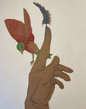 Aquarelle Watercolor