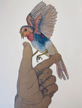 Aquarelle Watercolor