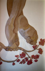 Aquarelle Watercolor