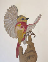Aquarelle Watercolor