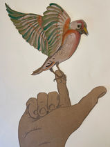 Aquarelle Watercolor