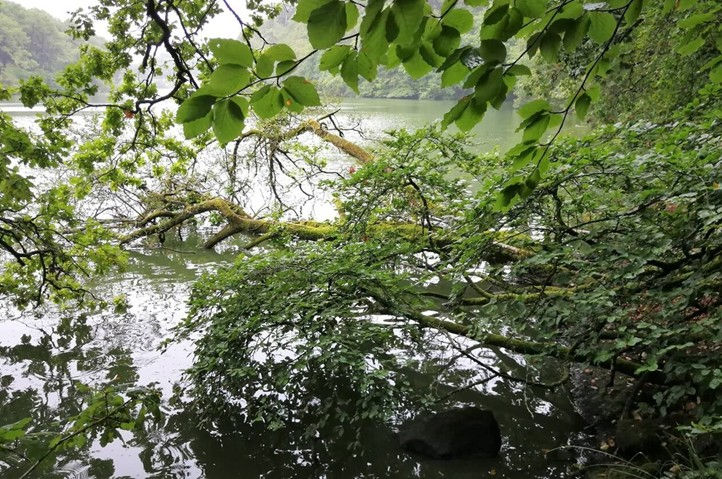 Balade Nature à Lorient et Ploemeur autour d'un écrin de verdure, eau et forêt.