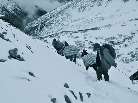 The Tea Horse Road Expedition – 8 Years’ On…