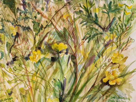 A day in the life of an artist: where will the Jay go?