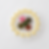 Deviled Egg Tray