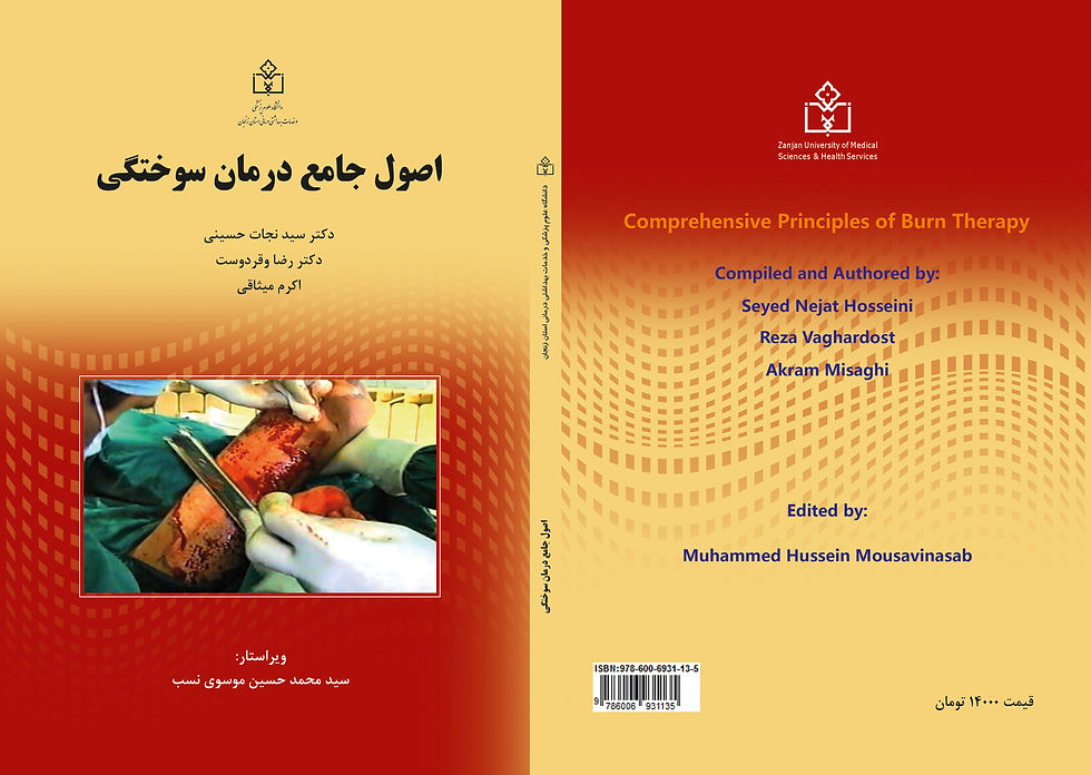 Book Cover: Comprehensive Principles of Burn Therapy