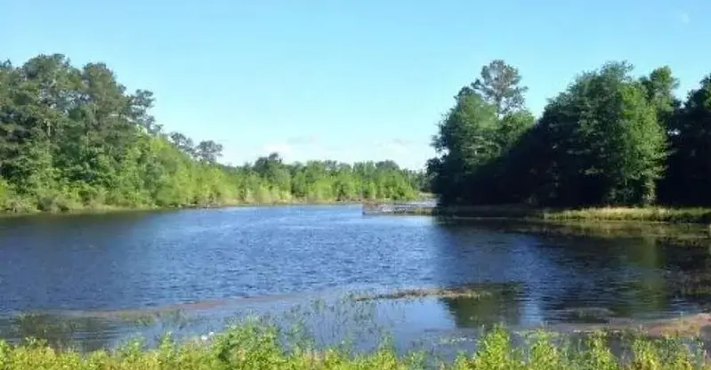 augusta park lake view