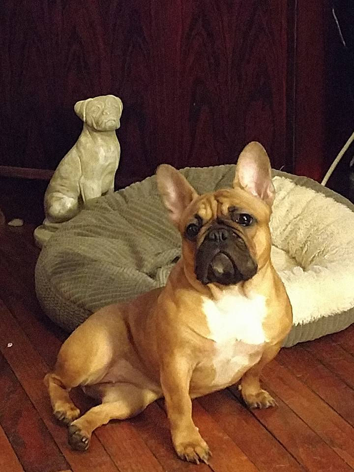 Lola