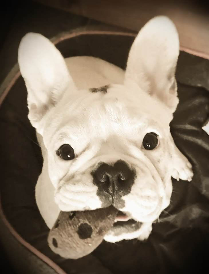 Lucy1