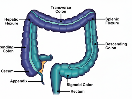 Colonoscopy Coding Guideline 