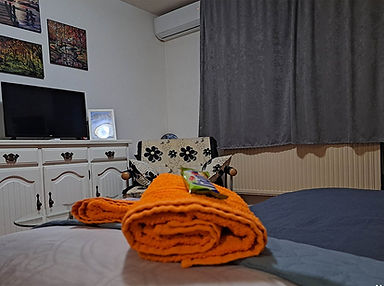 IMG-54fb31772928493e6a1c78ddcc429c1c-V.jpg