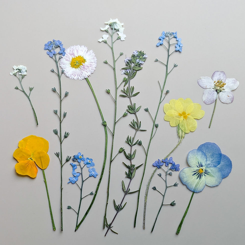 Thumbnail: Mixed pressed edible flowers