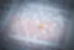 Photo of a tiny mustard seed on the Bible verse Matthew 17:20 about "faith as a mustard seed".