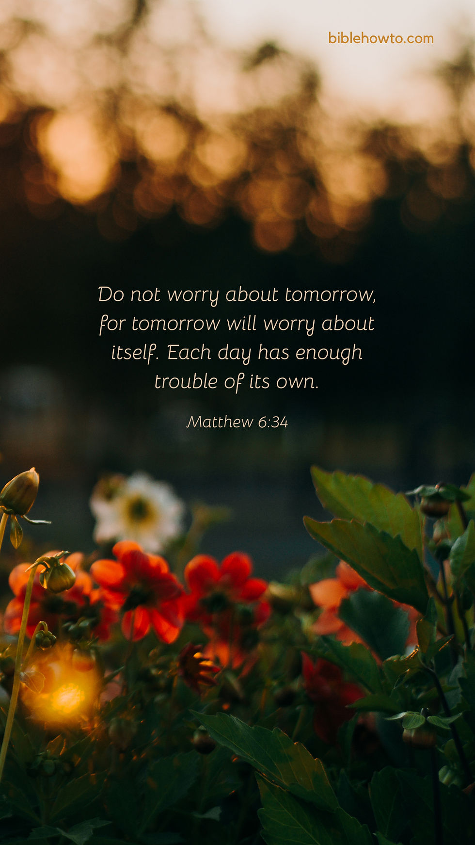 Matthew 6:34 over a photo of flowers