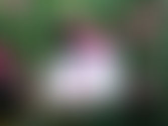 Pink and white flowers on a vine around as sign that says, "This is your little reminder that you are loved."