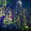 Thumbnail: Trees, Evening