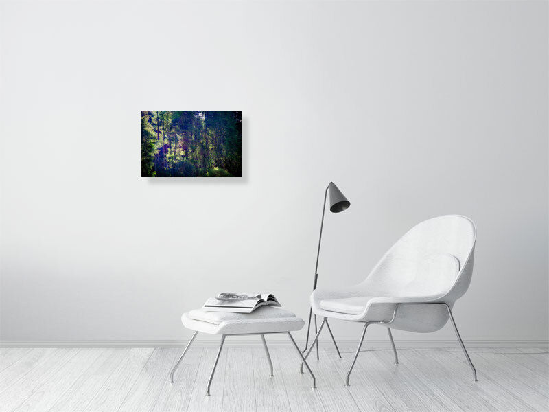 Thumbnail: Trees, Evening