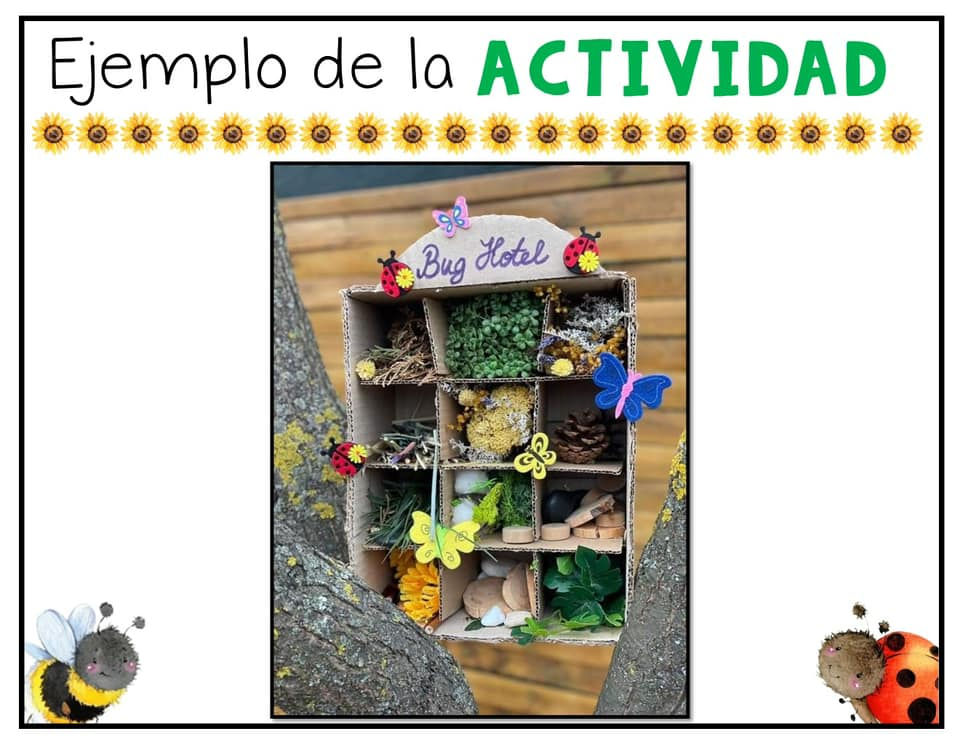 Miniatura: INSECTOS - PLAN DE ACTIVIDADES